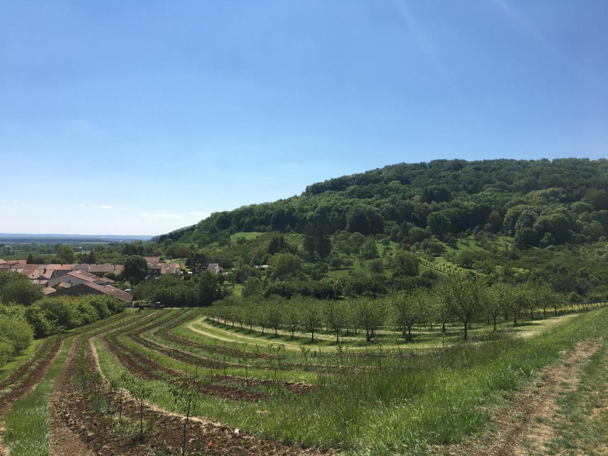 Chambres D'Hotes La Bottee Vieville-sous-les-Cotes Bagian luar foto
